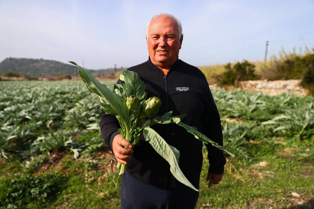 Bebek mamalarına ekleniyor. Bu yıl 10 bin tondan fazlası İzmir'den geldi 3